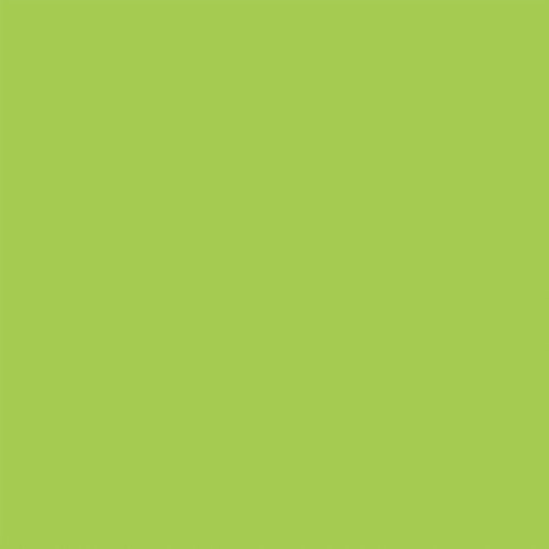 25 Pack - Echo Park Craft Room Cardstock 12"X12"-Green / Orange - 5A003HRL-1HCXL