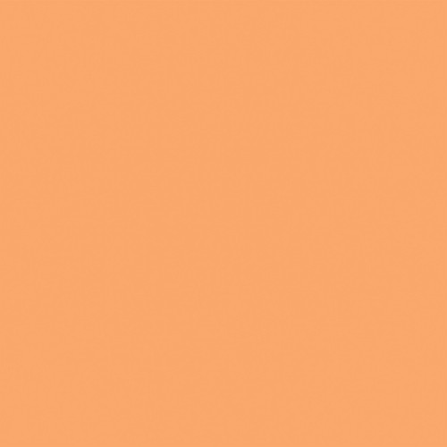 25 Pack - Echo Park Get Crafty Cardstock 12"X12"-Green / Orange - 5A003HRL-1HCXL