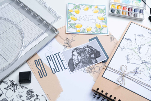 Sizzix Clear Stamp Set By Lisa Jones-Botanical Fruit - 5A00217C-1G40S Sizzix Clear Stamp Set By Lisa Jones-Botanical Fruit - 5A00217C-1G40S