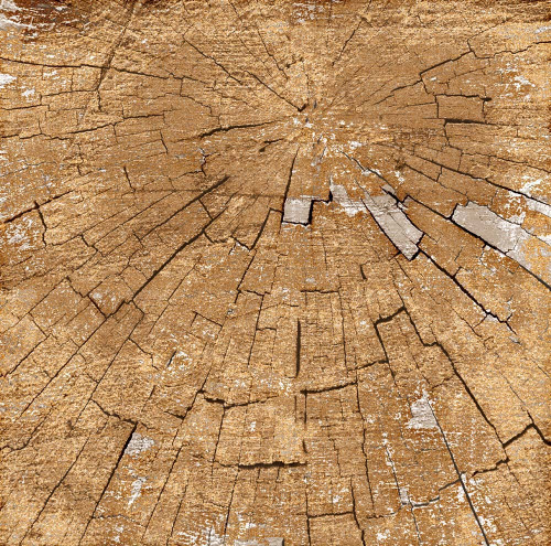 25 Pack - Memory Place Hello Cardstock 12"X12"-2 - 5A003H9G-1HCDW