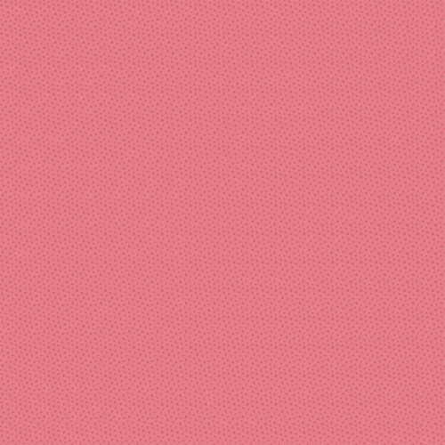 25 Pack - Echo Park In Full Bloom Cardstock 12"X12"-Market Flowers - 5A003HGC-1HCN7