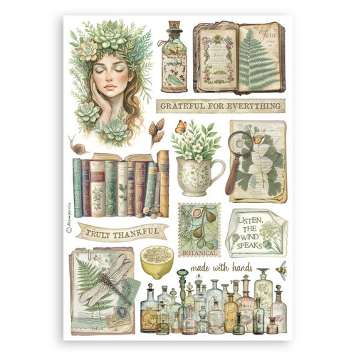 Stamperia A5 Washi Pad 8/Pkg-Herbarium Silvae - 5A003GGT-1HBJD