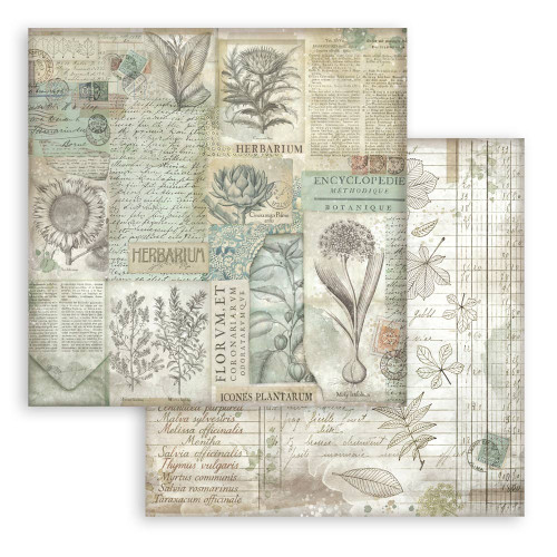 Stamperia Backgrounds Double-Sided Paper Pad 12"X12" 10/Pkg-Herbarium Silvae - 5A003GGC-1HBJG