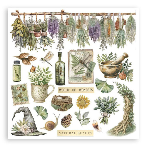 Stamperia Rub-On Kit 6.1"X6.1" 6/Pkg-Herbarium Silvae - 5A003GG9-1HBJ9