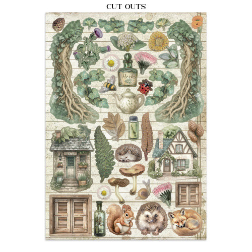 Stamperia Junk Journal Stickers, Cut-outs And Backgrounds-Herbarium Silvae - 5A003GFM-1HBJC