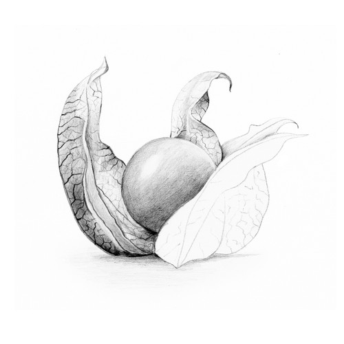 Staedtler Lead Holder Black-2mm - 5A0035N1-1H6Y0