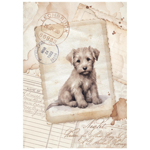 Stamperia Rice Paper A6 8/Pkg-Quiet Days - 5A003FYY-1H9TG