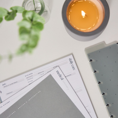 2 Pack - Happy Planner Classic Accessory Pack-Caregiver - 5A003GVK-1HBXV