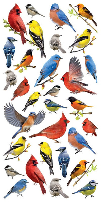 Paper House Decorative Stickers-Backyard Birds - 5A003JFT-1HDQG - 767636852457