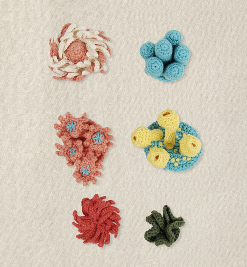 DMC Amigurumi Kit-Sea Anemones - 5A0039KK-1H8SQ DMC Amigurumi Kit-Sea Anemones - 5A0039KK-1H8SQ