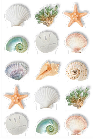 Paper House Pop Up Stickers-Beach Shells - 5A003JJ9-1HDSS - 767636852969