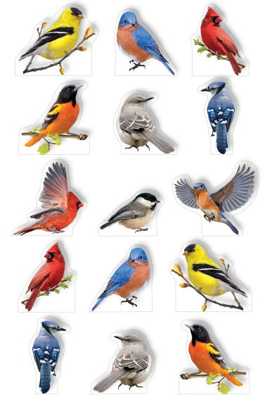 Paper House Pop Up Stickers-Backyard Birds - 5A003JGP-1HDS9 - 767636852952