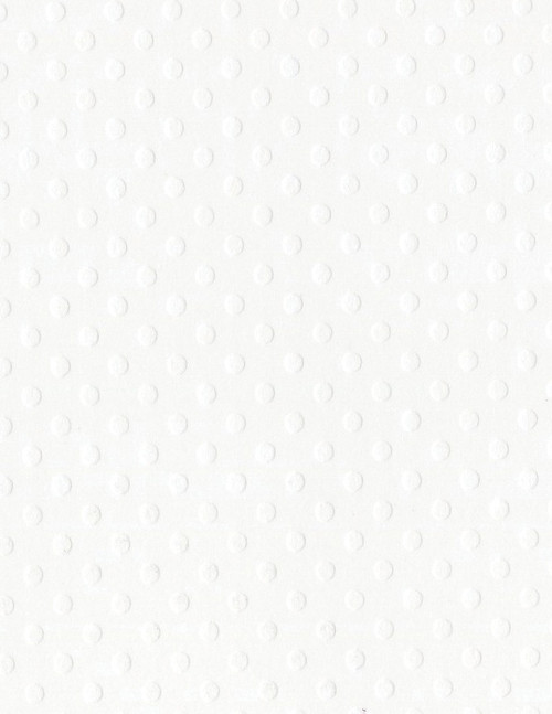 25 Pack - Bazzill Dotted Swiss Cardstock 8.5"X11"-Salt - DOTSW8-3110 - 846523031103