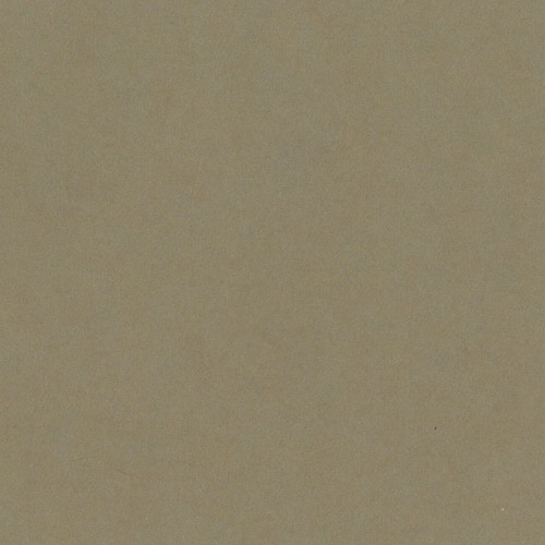 25 Pack - Bazzill Card Shoppe Heavyweight Cardstock 12"X12"-Peanut Cluster - CS12-4571 - 846523045711