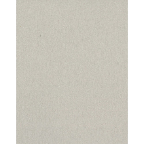 25 Pack - Bazzill Card Shoppe Heavyweight Cardstock 8.5"X11"-Alpaca - CS8-5055 - 846523050555 25 Pack - Bazzill Card Shoppe Heavyweight Cardstock 8.5"X11"-Alpaca - CS8-5055 - 846523050555