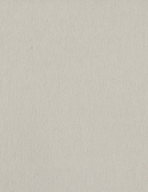 25 Pack - Bazzill Card Shoppe Heavyweight Cardstock 8.5"X11"-Alpaca - CS8-5055 - 846523050555