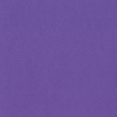 25 Pack - Bazzill Card Shoppe Heavyweight Cardstock 12"X12"-Gummy Bear - CS12-4568 - 846523045681