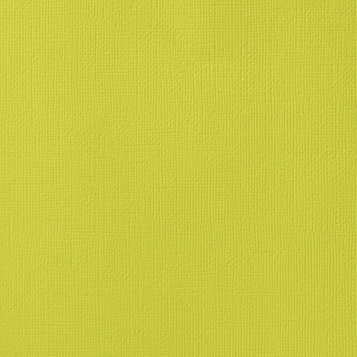 25 Pack - American Crafts 80lb Textured Cardstock 12"X12"-Limeade - AM710-505 - 718813715058