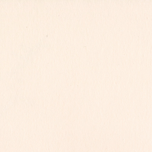 25 Pack - Bazzill Card Shoppe Heavyweight Cardstock 12"X12"-Pale Rose - CS12-5056 - 846523050562