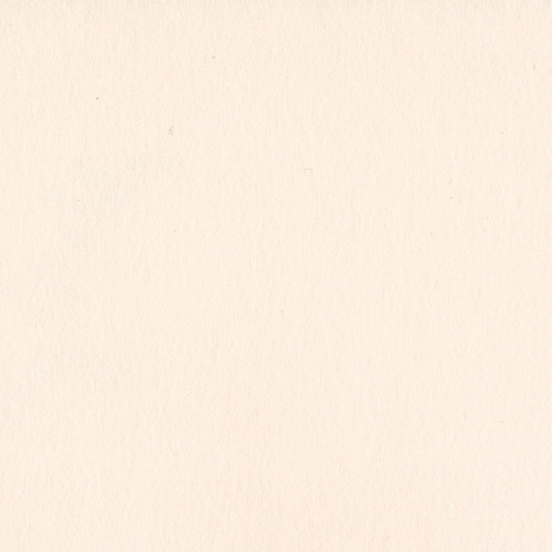 25 Pack - Bazzill Card Shoppe Heavyweight Cardstock 12"X12"-Pale Rose - CS12-5056 - 846523050562