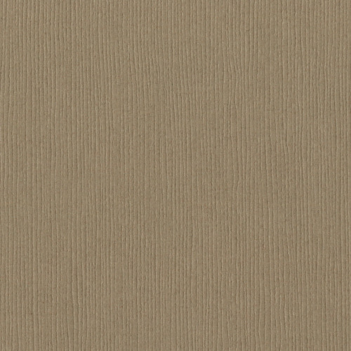 25 Pack - Bazzill Fourz Cardstock 12"X12"-Quick Sand/Grasscloth - FOURZ12-943 - 846523009430