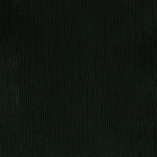 25 Pack - Bazzill Fourz Cardstock 12"X12"-Blackbird/Grasscloth - FOURZ12-953 - 846523009539