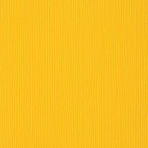 25 Pack - Bazzill Fourz Cardstock 12"X12"-Desert Marigold/Grasscloth - FOURZ12-1055 - 846523010559