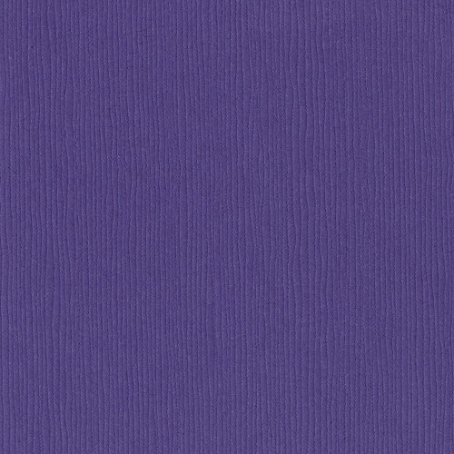 25 Pack - Bazzill Fourz Cardstock 12"X12"-Purple Pizzazz/Grasscloth - FOURZ12-909 - 846523009096