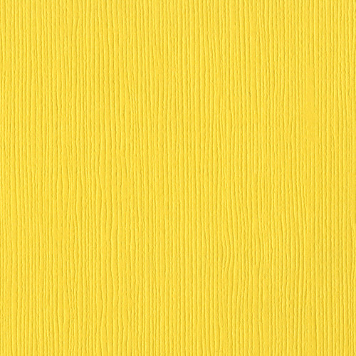 25 Pack - Bazzill Fourz Cardstock 12"X12"-African Daisy/Grasscloth - FOURZ12-1051 - 846523010511