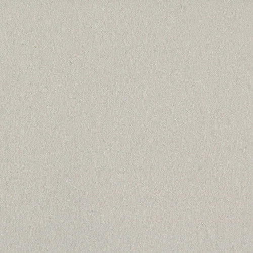 25 Pack - Bazzill Card Shoppe Heavyweight Cardstock 12"X12"-Alpaca - CS12-5054 - 846523050548 25 Pack - Bazzill Card Shoppe Heavyweight Cardstock 12"X12"-Alpaca - CS12-5054 - 846523050548