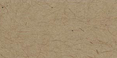 25 Pack - Bazzill Classic Cardstock 8.5"X11"-Kraft/Smoothies - CLASS8-169 - 846523001694 25 Pack - Bazzill Classic Cardstock 8.5"X11"-Kraft/Smoothies - CLASS8-169 - 846523001694