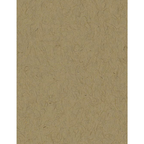 25 Pack - Bazzill Speckle Cardstock 8.5"X11"-Kraft/Smooth - 5A003N55-169 - 846523001694