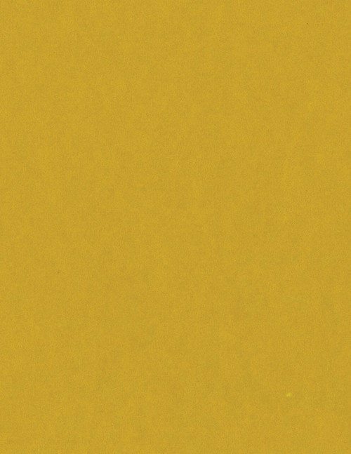 25 Pack - Bazzill Card Shoppe Heavyweight Cardstock 8.5"X11"-Gold Coins - CS8-4204 - 846523042048