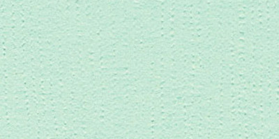 25 Pack - Bazzill Fourz Cardstock 12"X12"-Turquoise Mist/Grasscloth - FOURZ12-1089 - 846523010894