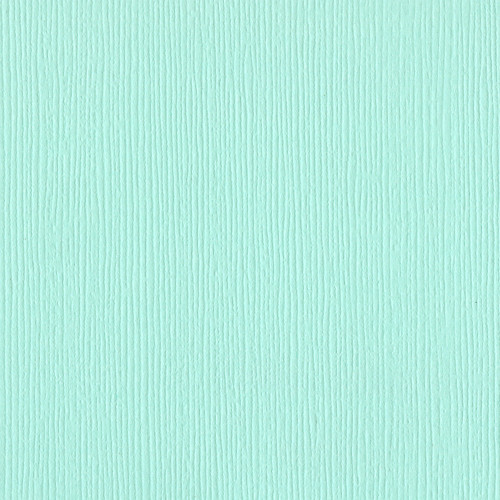 25 Pack - Bazzill Fourz Cardstock 12"X12"-Turquoise Mist/Grasscloth - FOURZ12-1089 - 846523010894 25 Pack - Bazzill Fourz Cardstock 12"X12"-Turquoise Mist/Grasscloth - FOURZ12-1089 - 846523010894
