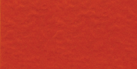 25 Pack - Bazzill Fourz Cardstock 12"X12"-Classic Orange/Grasscloth - FOURZ12-3634 - 846523036344
