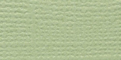 25 Pack - Bazzill Fourz Cardstock 12"X12"-Spring Breeze/Grasscloth - FOURZ12-914 - 846523009140 25 Pack - Bazzill Fourz Cardstock 12"X12"-Spring Breeze/Grasscloth - FOURZ12-914 - 846523009140