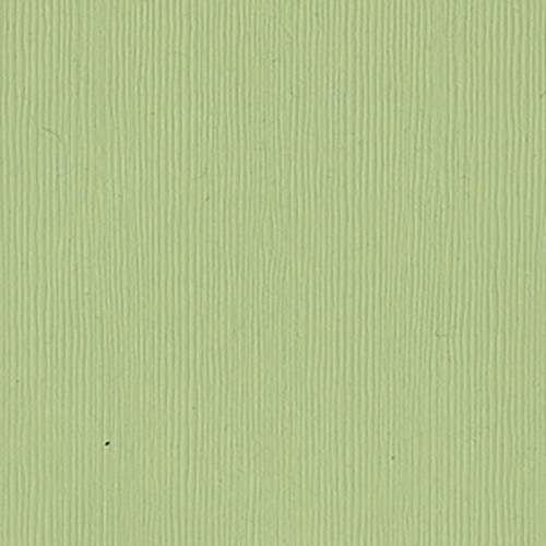 25 Pack - Bazzill Fourz Cardstock 12"X12"-Spring Breeze/Grasscloth - FOURZ12-914 - 846523009140