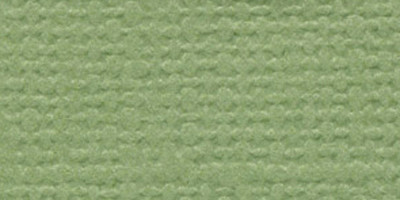 25 Pack - Bazzill Fourz Cardstock 12"X12"-Lily Pond/Grasscloth - FOURZ12-915 - 846523009157 25 Pack - Bazzill Fourz Cardstock 12"X12"-Lily Pond/Grasscloth - FOURZ12-915 - 846523009157