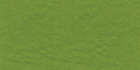 25 Pack - Bazzill Fourz Cardstock 12"X12"-Intense Kiwi/Grasscloth - FOURZ12-3602 - 846523036023