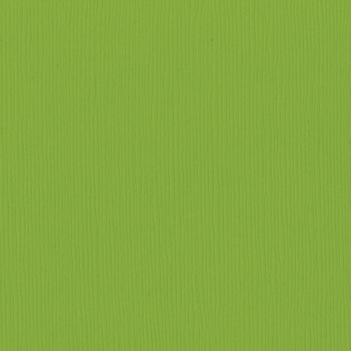 25 Pack - Bazzill Fourz Cardstock 12"X12"-Intense Kiwi/Grasscloth - FOURZ12-3602 - 846523036023 25 Pack - Bazzill Fourz Cardstock 12"X12"-Intense Kiwi/Grasscloth - FOURZ12-3602 - 846523036023