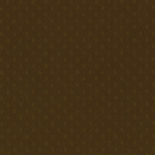 25 Pack - Bazzill Dotted Swiss Cardstock 12"X12"-Boardwalk - DOTSW12-1323 - 846523013239