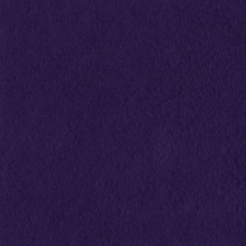 25 Pack - Bazzill Fourz Cardstock 12"X12"-Classic Purple/Grasscloth - FOURZ12-3639 - 846523036399