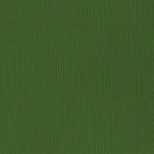 25 Pack - Bazzill Fourz Cardstock 12"X12"-Patch/Grasscloth - FOURZ12-825 - 846523008259