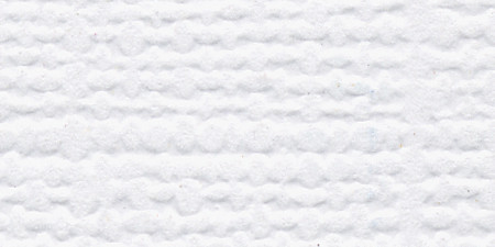 25 Pack - Bazzill Fourz Cardstock 8.5"X11"-Avalanche/Grasscloth - FOURZ8-1030 - 846523010306 25 Pack - Bazzill Fourz Cardstock 8.5"X11"-Avalanche/Grasscloth - FOURZ8-1030 - 846523010306