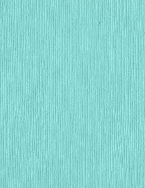 25 Pack - Bazzill Fourz Cardstock 8.5"X11"-Patina/Grasscloth - FOURZ8-9274 - 870709001222