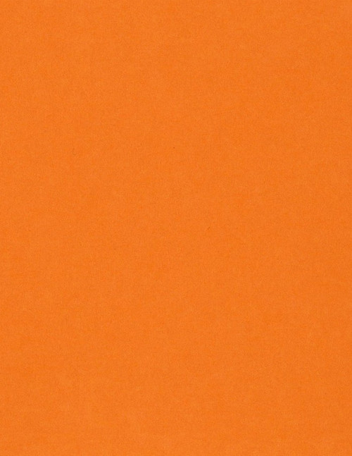 25 Pack - Bazzill Card Shoppe Heavyweight Cardstock 8.5"X11"-Circus Peanuts - CS8X-4205 - 846523042055