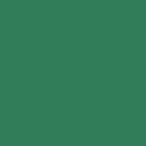 25 Pack - Bazzill Card Shoppe Heavyweight Cardstock 12"X12"-Evergreen - CS12-704 - 846523007047 25 Pack - Bazzill Card Shoppe Heavyweight Cardstock 12"X12"-Evergreen - CS12-704 - 846523007047