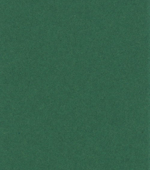 25 Pack - Bazzill Card Shoppe Heavyweight Cardstock 8.5"X11"-Evergreen - CS8-44 - 846523000444