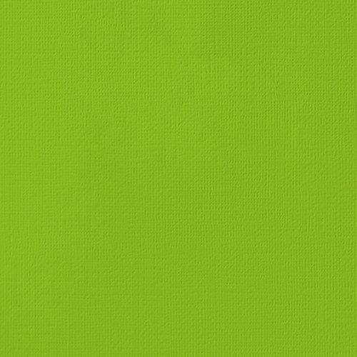 25 Pack - American Crafts 80lb Textured Cardstock 12"X12"-Cricket - AM710-60 - 718813710602